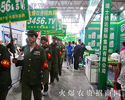 rY̾W(wng)Fā2015rĬF(xin)