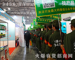 rY̾W(wng)F꠵õˏSҺͽ(jng)N̵