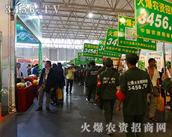 2015rrY̾W(wng)