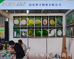 ɽ|SNI(y)2015r(nng)(hu)