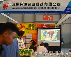 ɽ|Ar(nng)I(y)ƼǷ