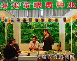 ۹Е·NI(y)ի@L(zhng)!