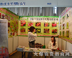 Ȫ𰲷N2015r(nng)YP(yng)ķ