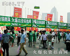 r(nng)Y̾W(wng)𺳳ϯ2016ϷNӕ