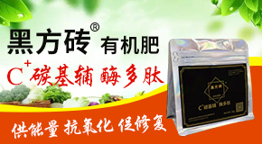 ۹SrI(y)Ƽl(f)չ޹˾