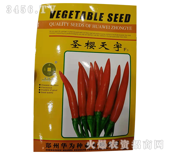 圣櫻天宇-辣椒種子-華為種業(yè)