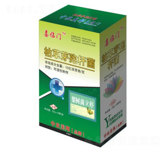 ݲѿߗU(sh)ͣ-ϲRT(mn)-r(nng)