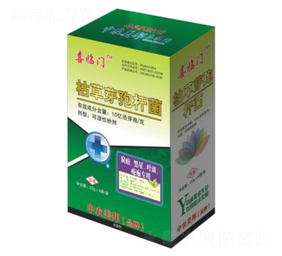 ݲѿߗU̿~ߣ-ϲRT-r(nng)