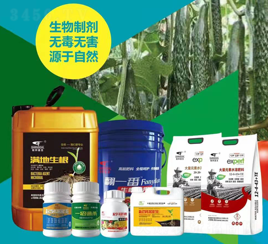 西紅柿施肥方案-聯(lián)邦嘉吉