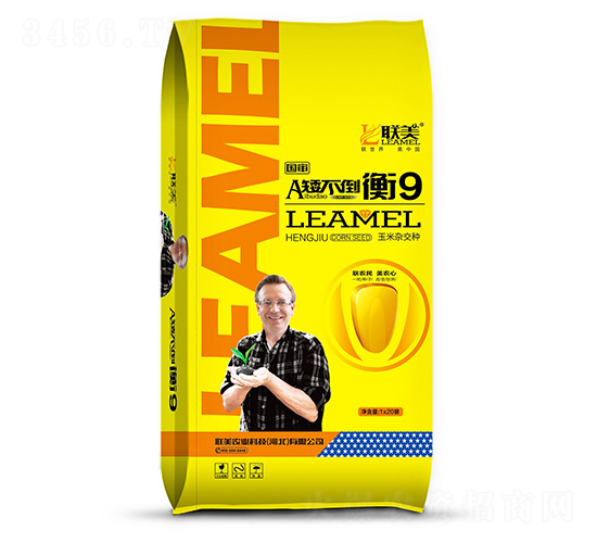 矮不倒衡9-玉米種子-聯(lián)美農業(yè)