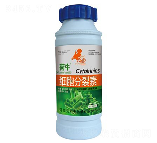 細(xì)胞分裂素-荷牛-史利夫