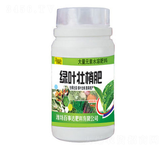 綠葉壯梢肥-百事達