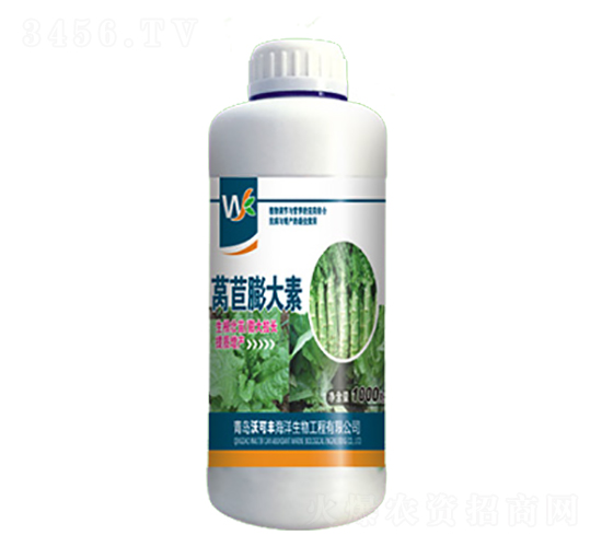 萵苣膨大素-沃可豐