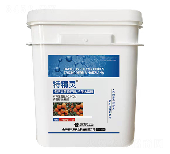 ճѿߗUľù-ؾ`-ԣSԴ