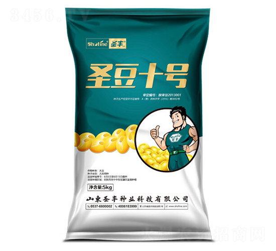 圣豆10號-大豆種子-圣豐種業(yè)