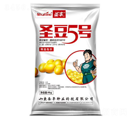 圣豆5號-大豆種子-圣豐種業(yè)