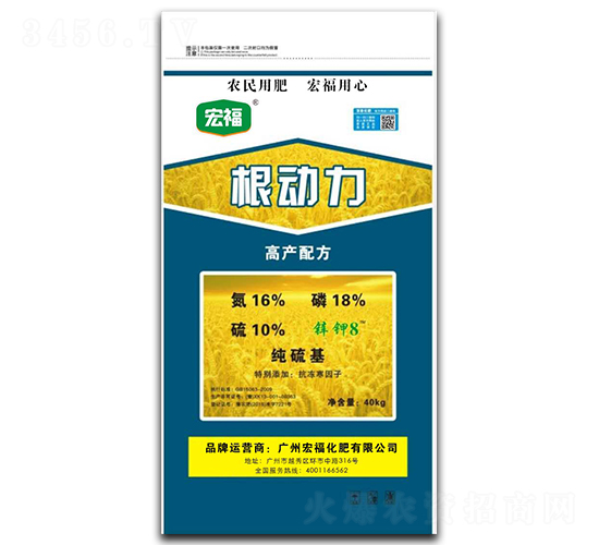 根動力-宏?；? style=