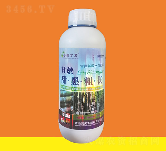 甘蔗甜黑粗長(zhǎng)-圣膨萬果-沃天下