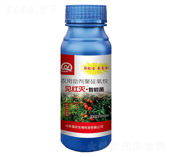 高效防治紅蜘蛛智能菌劑-見(jiàn)紅滅·智能菌-強(qiáng)農(nóng)生物