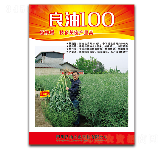 良油100-油菜種子-德名種業(yè)