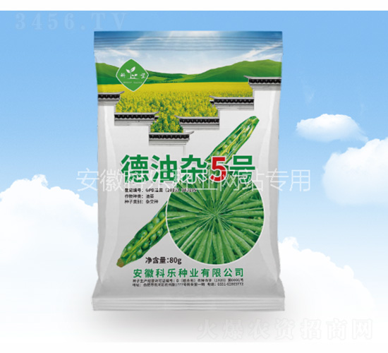 德油雜5號(hào)-科樂種業(yè)