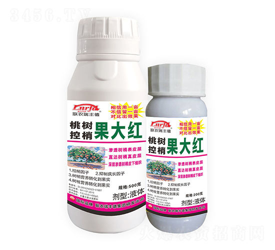 聯農桃樹控梢果大紅-北美農大