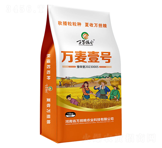 萬麥壹號15kg-小麥種子-萬擔糧