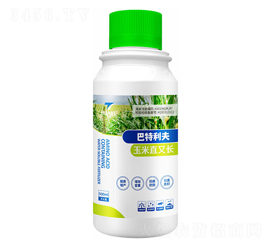 玉米直又長(zhǎng)-巴特利夫-禾小匠-天之禾
