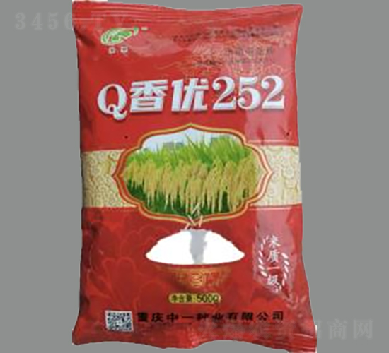Q香優(yōu)252-水稻種子-神農(nóng)科技