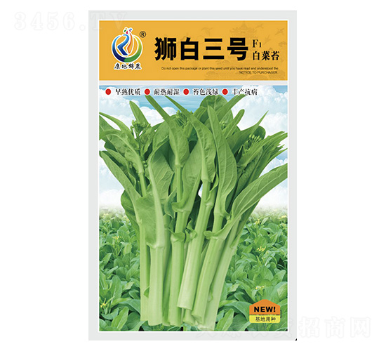 獅白三號(hào)-菜薹種子-康地科技