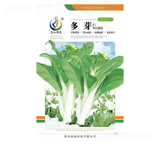 多芽-菜薹種子-康地科技