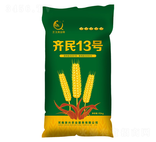 小麥種子-齊民13號(hào)-上之品