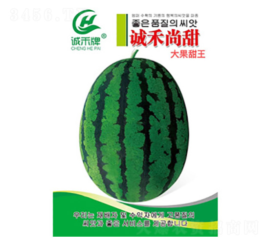 西瓜種子-尚甜-尚豐農(nóng)業(yè)