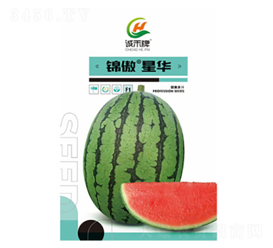 西瓜種子-錦傲星華-尚豐農(nóng)業(yè)