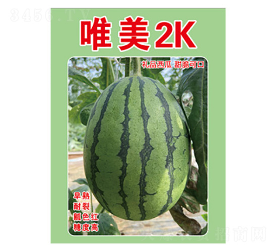 西瓜種子-唯美2K-尚豐農業(yè)
