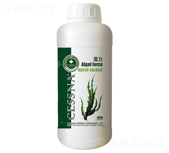 泡葉藻濃縮液-藻力-中匯農(nóng)業(yè)
