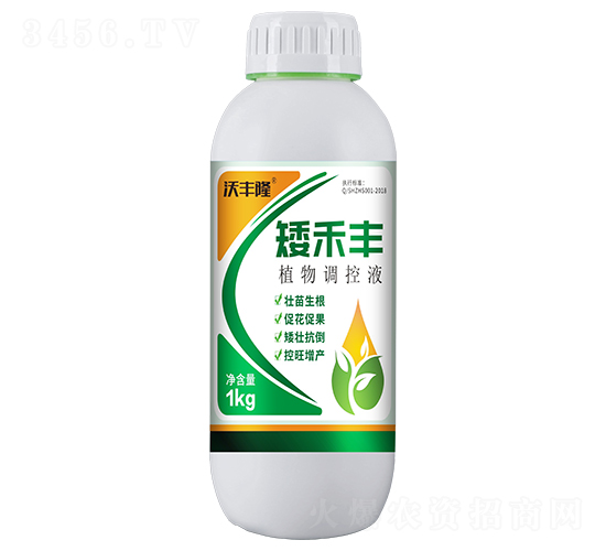 矮禾豐植物調(diào)控液-沃豐隆-德強(qiáng)生物