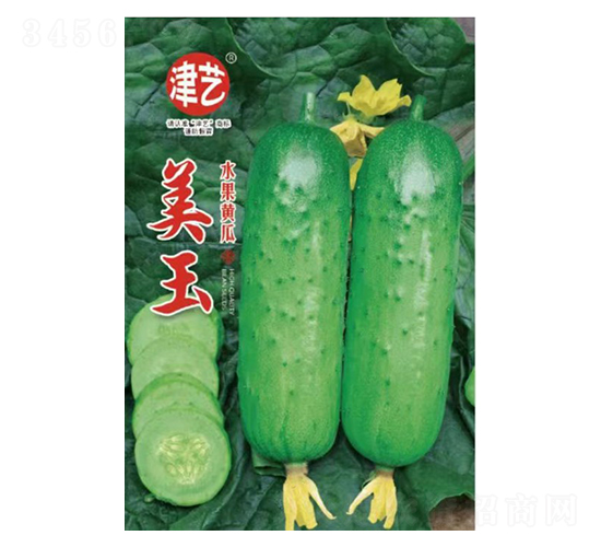 黃瓜種子-美玉-邯豐農業(yè)