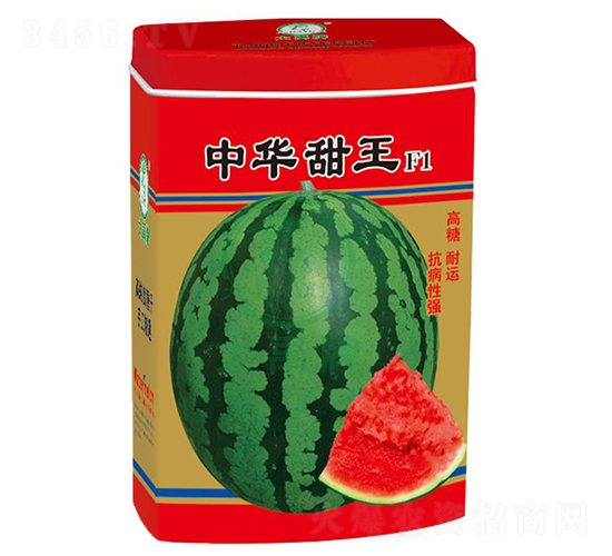 甜王西瓜種子-大禹種業(yè)