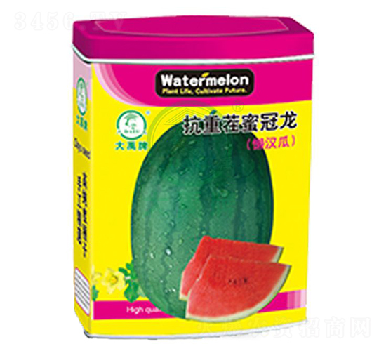 抗重茬蜜冠龍-西瓜種子-大禹種業(yè)