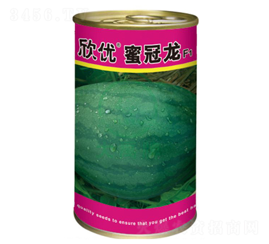 欣優(yōu)蜜冠龍西瓜種子-大禹種業(yè)