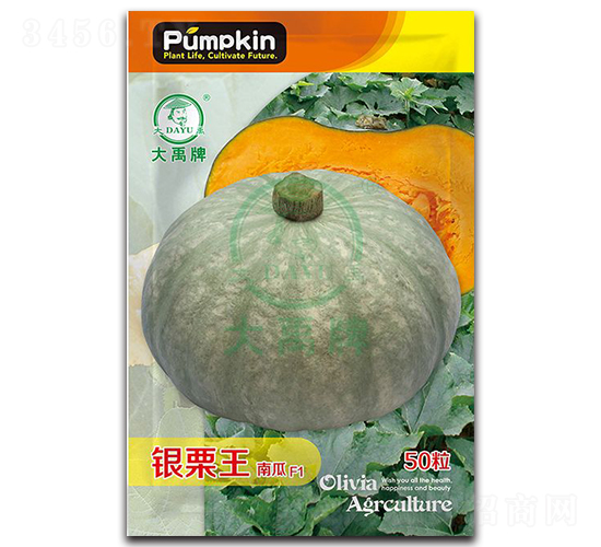 銀栗王南瓜種子-大禹種業(yè)