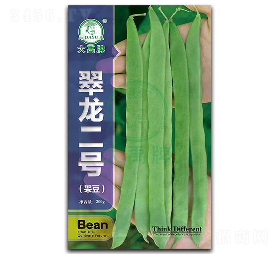 翠龍二號-架豆種子-大禹種業(yè)