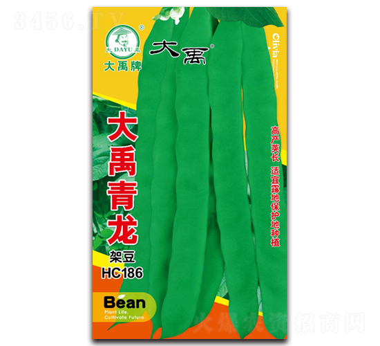 大禹青龍-架豆種子-大禹種業(yè)