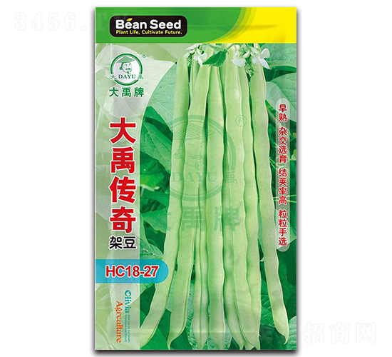 大禹傳奇-架豆種子-大禹種業(yè)