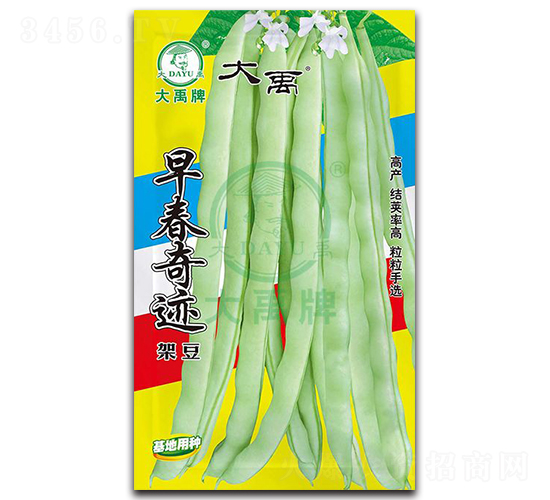 早春奇跡-架豆種子-大禹種業(yè)