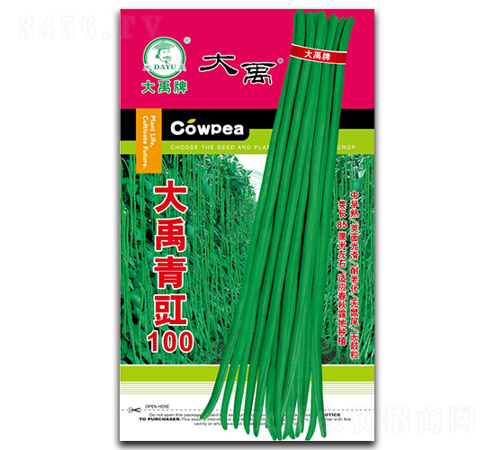 大禹青豇100-豇豆種子-大禹種業(yè)