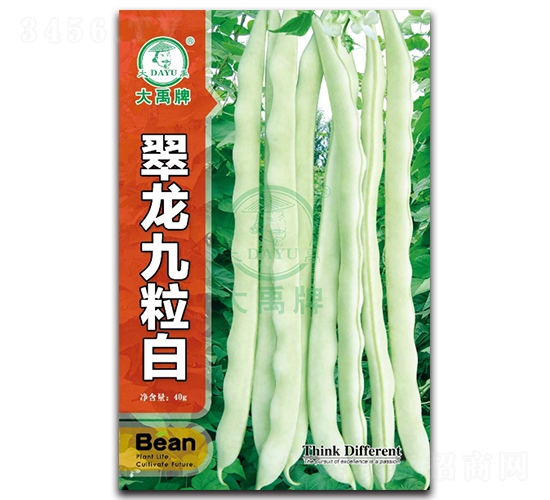 翠龍九粒白-豇豆種子-大禹種業(yè)