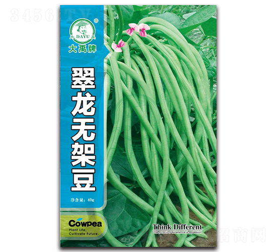 翠龍無架豆-架豆種子-大禹種業(yè)