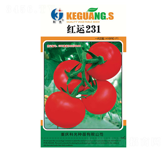 紅運231-科光種苗